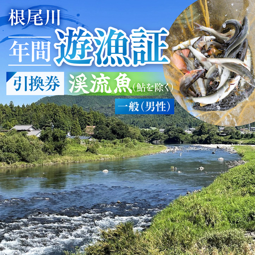 【一般（男性） 渓流魚（鮎を除く）年間遊漁証引換券（令和８年シーズン用）】 釣り 渓流魚 魚 さかな釣り 魚釣り 年間遊漁証引換券 年券 チケット 引換券 根尾川筋漁業協同組