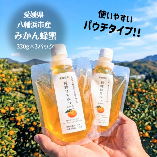 愛媛県産　みかん蜂蜜220g×2パック【74-2】 YWTAR002