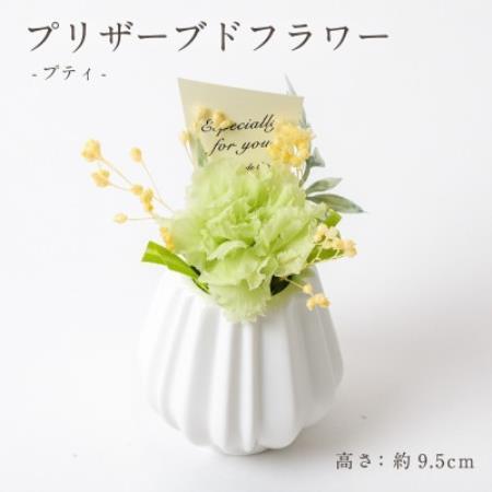 プリザーブドフラワーアレンジ 【プティ カーネーション(グリーン)】【1752066】