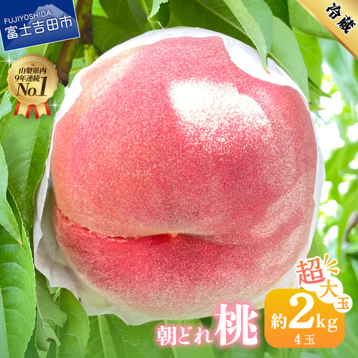フルーツ [2026年発送]山梨の朝どれ超大玉桃2kg(4玉) もも