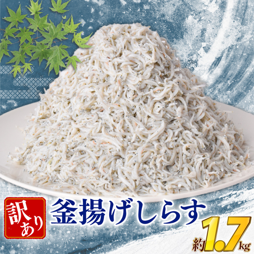 訳あり 釜揚げしらす 約1.7kg 【しらす】