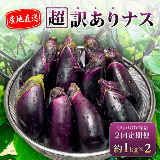 [先行受付] [2回定期] 安田町産 「超」 訳あり ナス なす なすび 1kg×2回