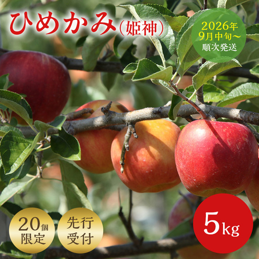 [先行予約] 早期発送 りんご ひめかみ 5kg 早生 旬 果物 フルーツ リンゴ 林檎 アップル くだもの 宮城県 大河原町 数量限定 送料無料