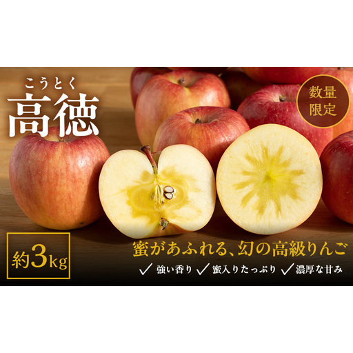 数量限定★ 幻のりんご こうとく (高徳) 3kg 蜜入り 希少 高級 果物 フルーツ 先行予約 宮城県 大河原町 リンゴ 林檎 くだもの 送料無料