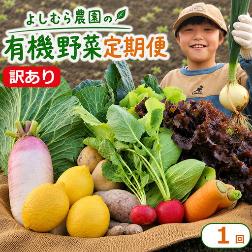 訳あり 野菜セット 有機野菜 オーガニック