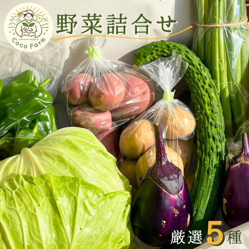 野菜詰合せ 厳選5種