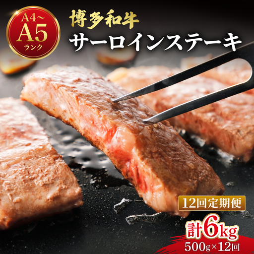 ＜定期便・全12回＞博多和牛 牛肉 サーロイン ステーキ 500g（250g×2）