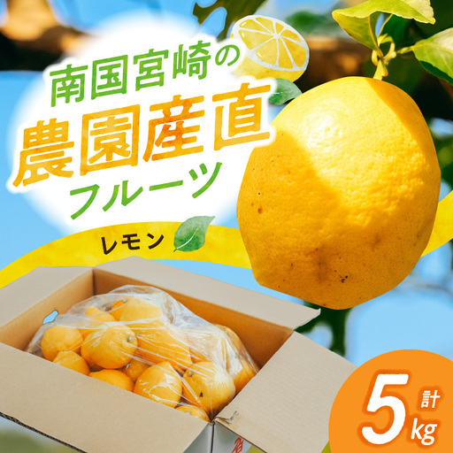 フルーツ レモン フルーツ [産地直送 数量限定 柑橘 先行予約]