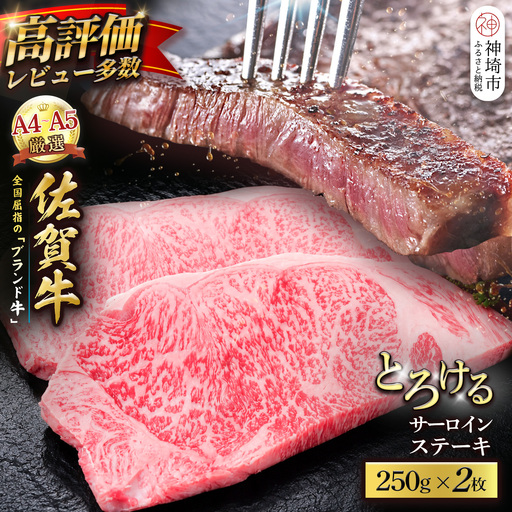 【スピード発送】佐賀牛 サーロインステーキ 250g×2枚 (H065236)