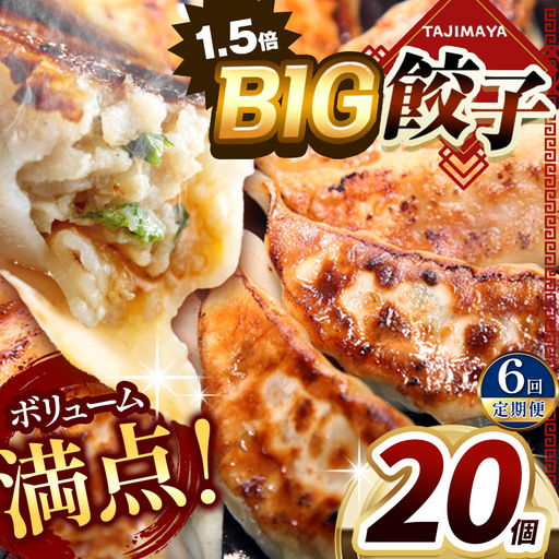 【定期便6回】たじまや オリジナル ビッグ 餃子 大きい 20個