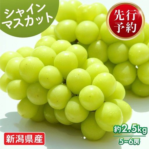 [2026年発送分] シャインマスカット 約2.5kg 5〜6房 おすすめ マスカット 果物 くだもの フルーツ スイーツ 葡萄 ブドウ ぶどう 髙橋農園 国産 新潟県 新発田市 takahashi006