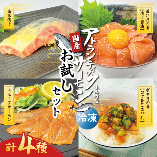 小山町産アトランティックサーモン(冷凍)お試しセット(サーモンブロック無し)
