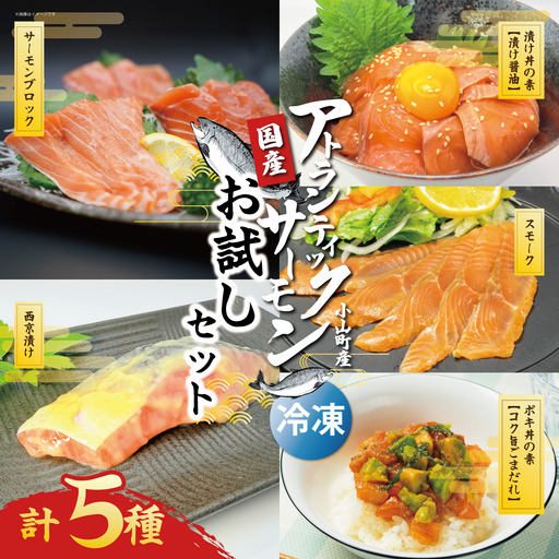 小山町産アトランティックサーモン(冷凍)お試しセット(サーモンブロック有り)
