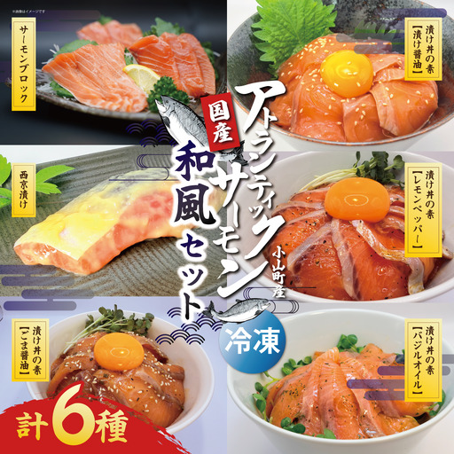 小山町産アトランティックサーモン(冷凍)和風セット