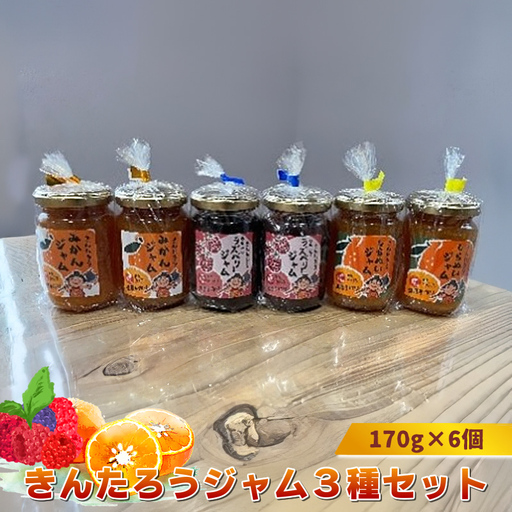 きんたろうジャム3種セット 170g×6個[ ジャム 神奈川県 山北町 ]