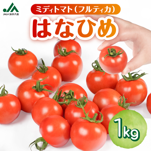 [先行予約]ミディトマト はなひめ 1kg [JAふくおか八女][2026年12月発送開始] フルティカ はなひめ JAふくおか八女 皮やわらかい 食べやすい 大玉トマト 高満足度 リコピン ヘルシー 人気 ブランドトマト 002-025