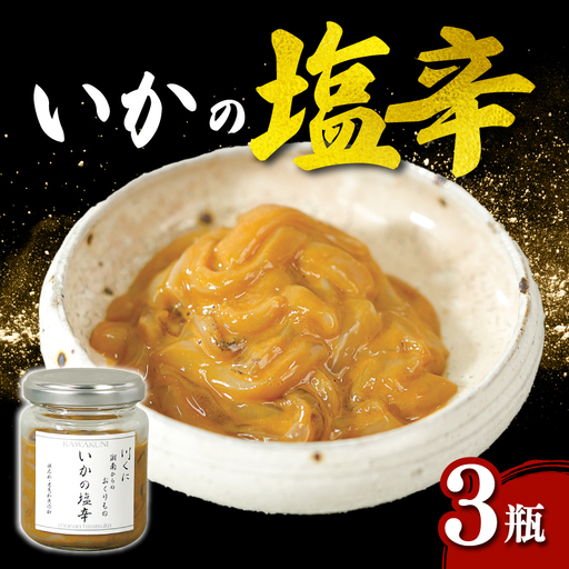 イカ塩辛 100g×3瓶 イカ 塩辛