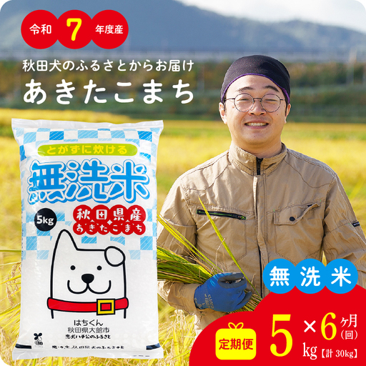 《令和7年産》【6ヶ月5kg定期便】無洗米 あきたこまち 無洗【真正ファーム】