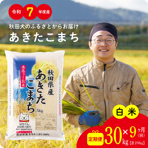《令和7年産》【9ヶ月30kg定期便】白米 あきたこまち 精米 ブランド米 定期便【真正ファーム】【ふるさと納税3.0】