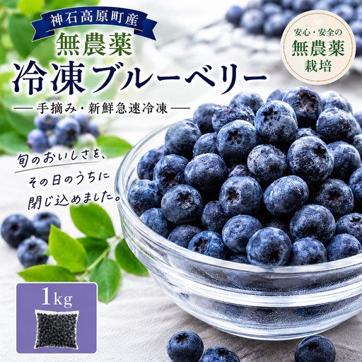 [ふるさと納税]無農薬 冷凍ブルーベリー 1kg 国産 手摘み 新鮮 急速冷凍 神石高原町産