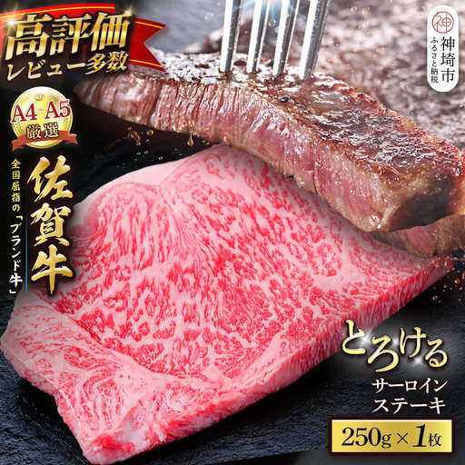 【スピード発送】佐賀牛 サーロインステーキ 250g×1枚 (H065220)