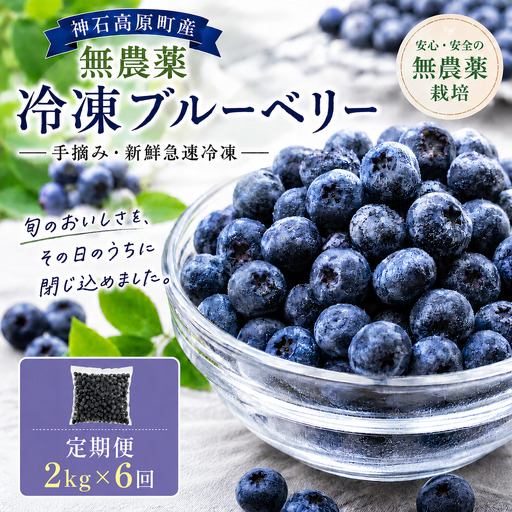 [ふるさと納税]無農薬 冷凍ブルーベリー 定期便 2kg×6回 国産 手摘み 新鮮 急速冷凍 神石高原町産