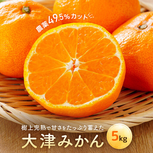 大津みかん(5kg)※12月中旬〜下旬発送 | 湯河原町 自然栽培 旬 みかん フルーツ 大津4号