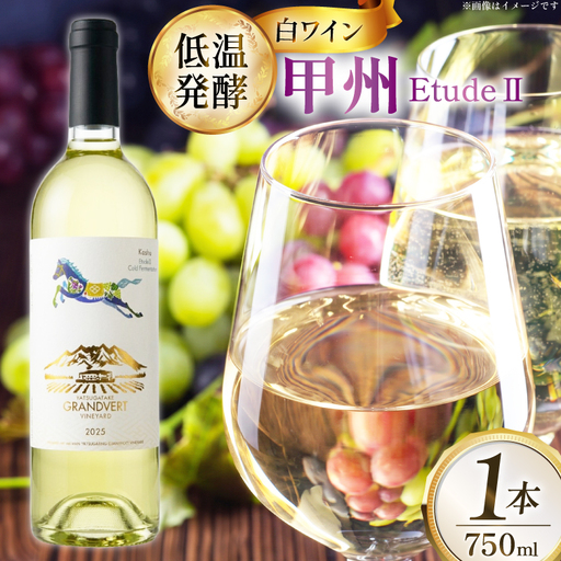 酒 ワイン 白ワイン エチュード ll 750ml 1本