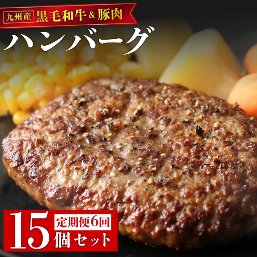 ＜定期便・全6回＞九州産黒毛和牛と九州産豚肉 ハンバーグ 15個セット 