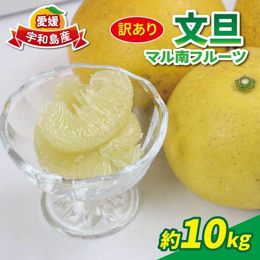 訳あり 文旦 10kg マル南フルーツ 文旦 B010-106038