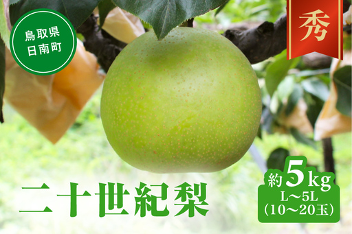 二十世紀梨 秀5㎏前後 L～5L(10～20玉前後) 梨 なし フルーツ 鳥取 高間商店
