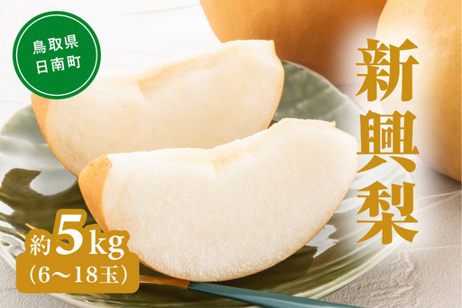 新興梨（しんこうなし） 5kg(6～18玉前後) 梨 なし 果物 日南町 高間商店