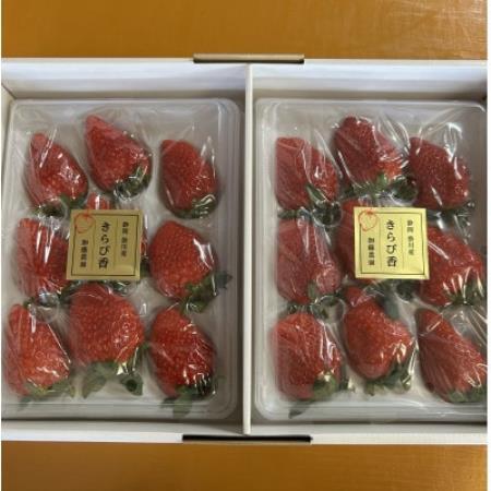 【2027年先行受付】いちご【きらぴ香】1箱 (1箱2パック入り 約450g×2)【配送不可地域：離島・北海道・沖縄県・四国・九州】【1638885】