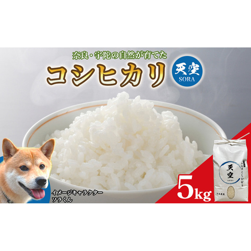 宇陀の自然が育てた 天空[sora]コシヒカリ 5kg|奈良県宇陀産 白米