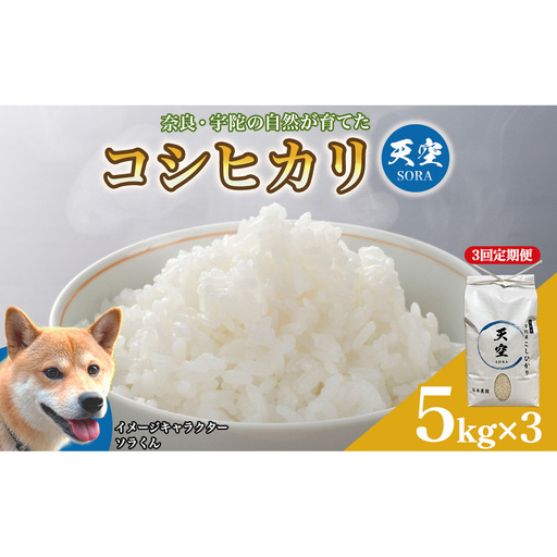宇陀の自然が育てた 天空[sora]コシヒカリ 定期便 5kg×3回|奈良県宇陀産 白米