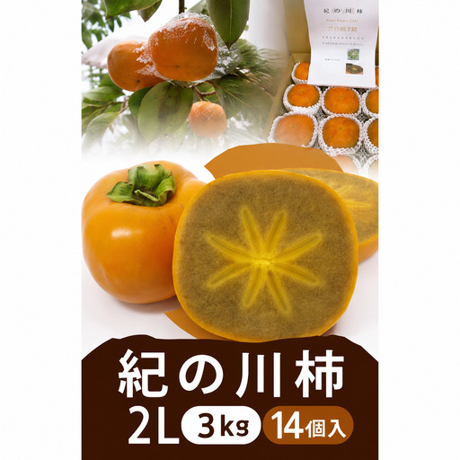 柿 黒の奇跡☆九度山の紀の川柿 2Lサイズ14個入 約3kg[2026年10月上旬〜2026年10月下旬頃順次発送予定][A-frks184]