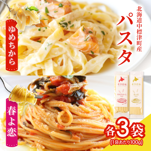 北海道中標津町産「春よ恋」パスタ・「ゆめちから」パスタ 各3袋（合計6袋）【82006】