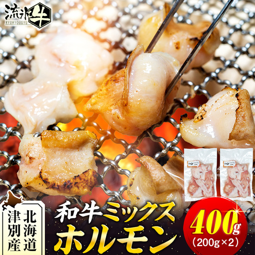 流氷牛 ミックスホルモン 400g(200g×2袋) 石井牧場 | ふるさと納税 ホルモン 牛ホルモン ミックスホルモン 和牛 流氷牛 焼肉 もつ焼き もつ鍋 小分け 国産 希少部位 味付けなし 大容量 北海道 津別町