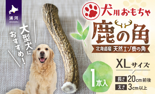 犬用「鹿の角」XLサイズ×1本[53-1635]