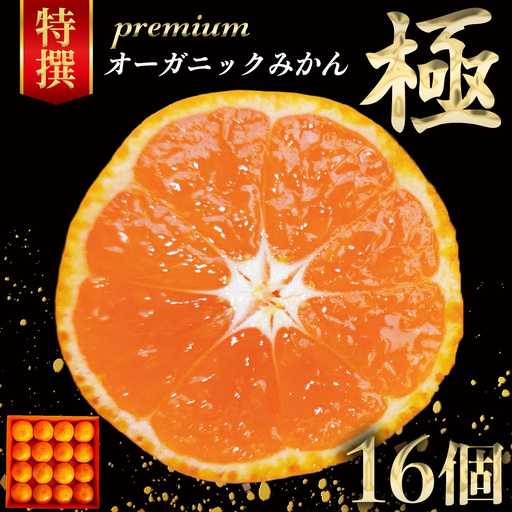 皮まで食べられる! 特選プレミアム オーガニックみかん 極 (きわみ) 約1.5kg [先行予約 11月〜1月中旬発送予定]