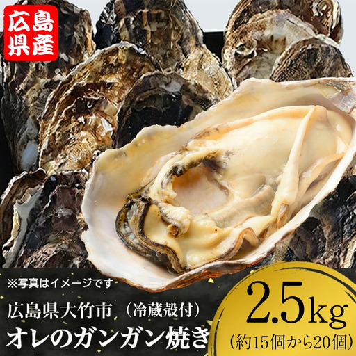 [2027年1月8日より発送!]株式会社 アミスイ オレのガンガン焼き 広島県大竹市産 冷蔵殻付牡蠣 2.5kg (約15個から20個) [2623]