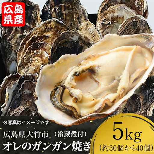 [2027年1月8日より発送！]株式会社 アミスイ オレのガンガン焼き 広島県大竹市産 冷蔵殻付牡蠣 5kg (約30個から40個) [2624]