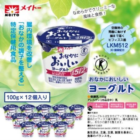 特定保健用食品　おなかにおいしいヨーグルト　100g×12個【配送不可地域：離島】【1578860】