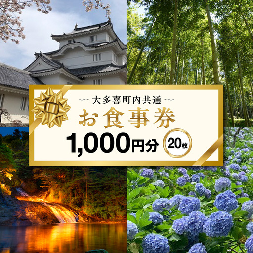 大多喜町内共通お食事券1000円分×２０枚　W07005