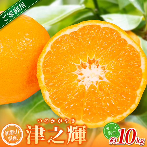 【ご家庭用】 森本農園の手選別 津の輝 約10kg 和歌山県産 サイズ混合 【北海道・沖縄・離島配送不可】【2027年2月上旬～2027年4月中旬頃に順次発送】【BV-mrmt120A】