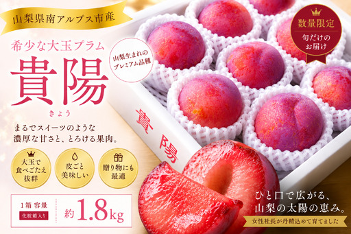 [2026年発送先行予約]南アルプス市芦安産 すもも「貴陽」約1.8kg(8〜11玉入り) AL