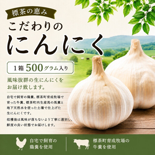 【2026年9月発送】標茶の恵み　こだわりのにんにく　１箱500グラム入り（Mサイズ約８～１０個）