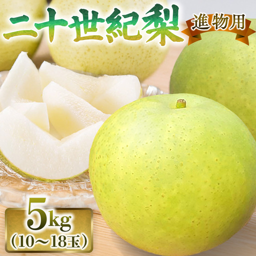 二十世紀梨【進物】5kg（有梨の実　石田） 鳥取 梨 果物 フルーツ 和梨 二十世紀梨 20世紀梨 人気 甘い 進物 贈答用 赤秀