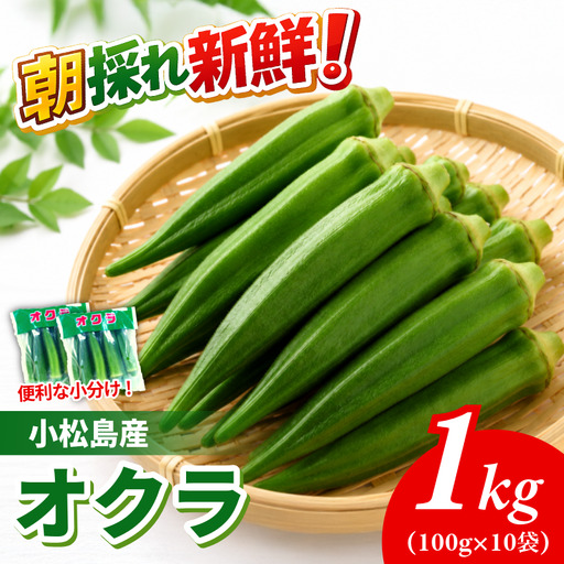 【6月下旬から発送】オクラ 1kg 新鮮 朝採れ 選べる 容量 小分け おくら 朝どれ 野菜 夏 夏野菜 旬 サラダ 冷蔵 農地直送 国産 小松島市 