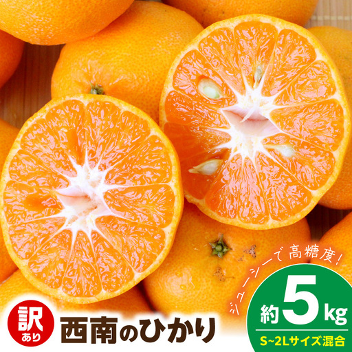 《訳あり 家庭用》西南のひかり 約5kg（S～2Lサイズ混合）_EQ6008